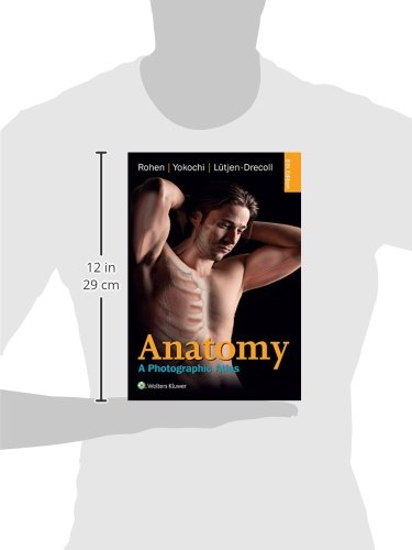Anatomy: A Photographic Atlas by Rohen MD, Johannes W.