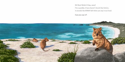 Hello, I'm a Quokka (Meet the Wild Things, Book 3)