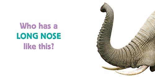 Noses (Whose Is It?)