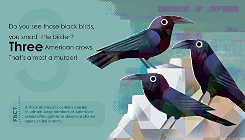 Birding for Babies: Backyard Birds: A Numbers Book