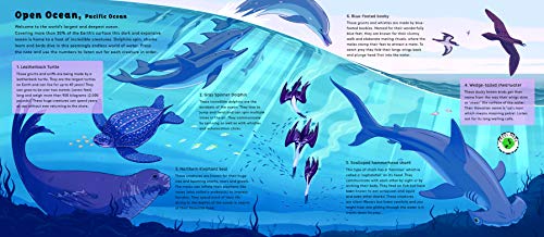 Sounds of Nature: World of Oceans: Press each note to hear animal sounds