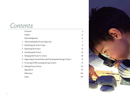 Picturing the Project Approach: Creative Explorations in Early Learning