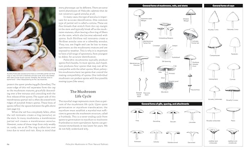 Psilocybin Mushrooms in Their Natural Habitats: A Guide to the History, Identification, and Use of Psychoactive Fungi
