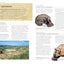 World History: From the Ancient World to the Information Age (DK Ultimate Guides)