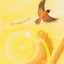 Sunshine On My Shoulders (John Denver Series)
