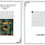 Sister Wendy's Book of Saints