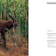 Fabricating Wilderness: The Habitat Dioramas of the Natural History Museum of Los Angeles County