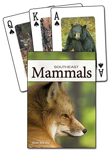 Mammals of the Southeast Playing Cards (Nature's Wild Cards)