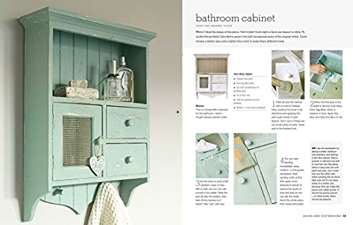 The Annie Sloan Collection: 75 step-by-step paint projects and ideas to transform your home