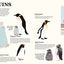 Antarctica: A Continent of Wonder