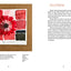 Color In and Out of the Garden: Watercolor Practices for Painters, Gardeners, and Nature Lovers