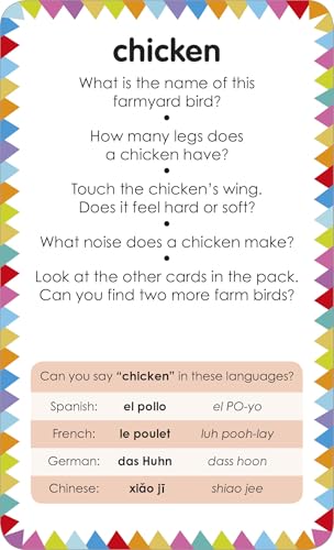 My First Touch and Feel Picture Cards: Farm (My First Board Books)