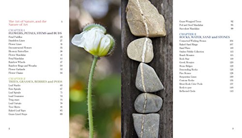 Foraged Art: Creating Projects Using Blooms, Branches, Leave