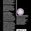 Practical risk management in the construction industry (Ice Design and Practice Guide)