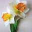 Crafting Paper Flowers: A Visual Guide to Breathtaking Botanicals