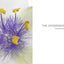Seeing Flowers: Discover the Hidden Life of Flowers (Seeing Series)