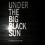 Under the Big Black Sun: California Art 1974-1981