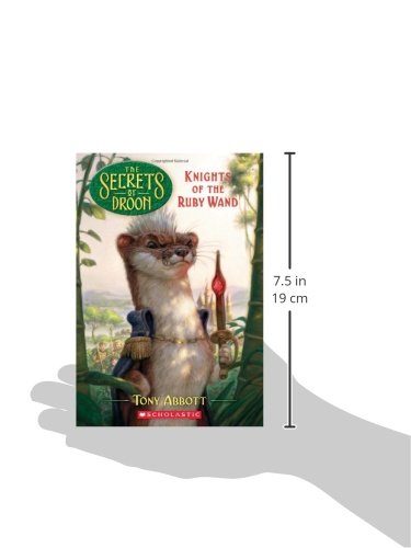 The Secrets of Droon #36: Knights of the Ruby Wand