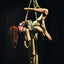 Shibari Suspensions: A Step by Step Guide