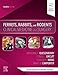 Ferrets, Rabbits, and Rodents: Clinical Medicine and Surgery