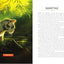 Warriors: The Ultimate Guide:: A Comprehensive Guide to the Warrior Cats, Their Clans, and the Secrets Behind the Series (Warriors Field Guide)