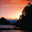 The Undying Soul: A Cancer Doctor's Discovery by Iacoboni, S