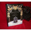 The Phantom of the Opera: Pop-Up Book by Van Der Meer, Frank