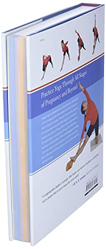 Iyengar Yoga for Motherhood: Safe Practice for Expectant & N