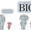 A Big Guy Took My Ball!-An Elephant and Piggie Book