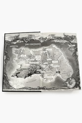 Iron Flame (Standard Edition) (The Empyrean, 2) — back cover