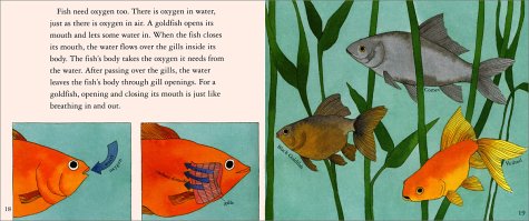 What's It Like to Be a Fish? (Let's-Read-and-Find-Out Science 1)