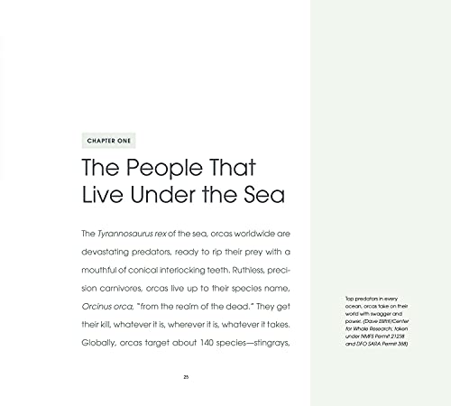 Orca: Shared Waters, Shared Home