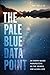 The Pale Blue Data Point: An Earth-Based Perspective on the Search for Alien Life