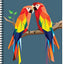 Brain Games - Sticker by Number: Birds (28 Images)