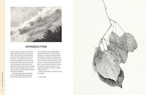 Look Closer, Draw Better: Expert Techniques for Realistic Drawing