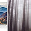Forests: From the Amazon Rainforest to the Siberian Taiga (Amazing Places Landscape)
