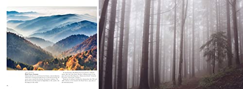 Forests: From the Amazon Rainforest to the Siberian Taiga (Amazing Places Landscape)