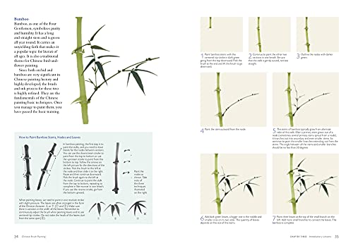 Chinese Brush Painting: A Beginner's Step-by-Step Guide