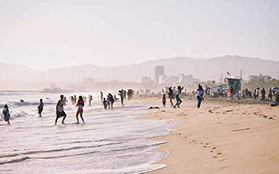 California: Living + Eating: Recipes Inspired by the Golden