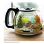 Creative Terrariums: 33 Modern Mini-Gardens for Your Home (Fox Chapel Publishing) Step-by-Step Cutting-Edge, Contemporary Designs to Add a Decorative Organic Presence to Even the Smallest Room