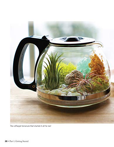 Creative Terrariums: 33 Modern Mini-Gardens for Your Home (Fox Chapel Publishing) Step-by-Step Cutting-Edge, Contemporary Designs to Add a Decorative Organic Presence to Even the Smallest Room