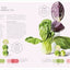 The Science of Flavor: Unlock the Secrets of Flavorful Cooking (The Science of Food)