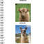 Brain Games - Sticker by Number: Farm Animals (Easy - Square Stickers): Create Beautiful Art With Easy to Use Sticker Fun!