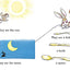 The Eye Book (Bright & Early Board Books)