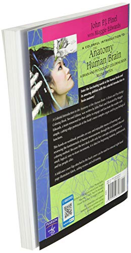 Colorful Introduction to the Anatomy of the Human Brain, A
