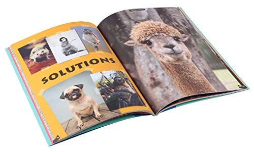Sticker Extremely Cute Animals (Extreme Stickering)
