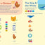 Brain Quest Phonics Workbook: Grade 2