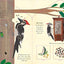 Bird House (A Clover Robin Book of Nature)