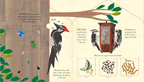 Bird House (A Clover Robin Book of Nature)