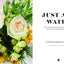 Just Add Water: Easy Techniques and Everyday Ideas for Inspiring Flower Arrangements